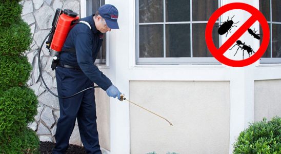 Arhavi Kene İlaçlama böcek ilaçlama ve haşere kontrolü — ilaclama-tr.com